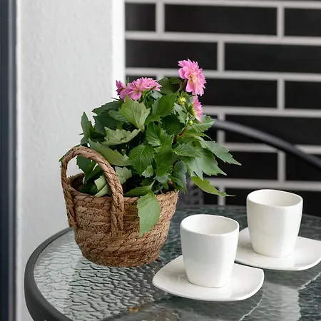 Tasteful With Parking Near The Center Of By Renters * Kołobrzeg